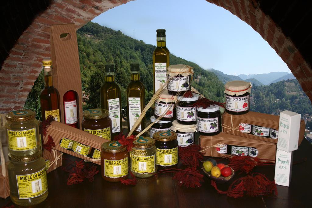 Agriturismo La Torre Бани ди Лука Екстериор снимка